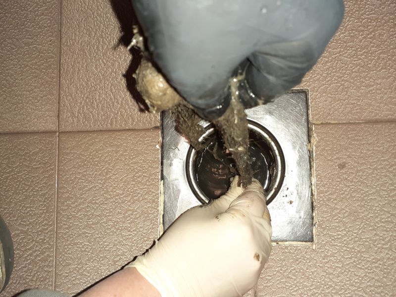 Basement Drain Clearing