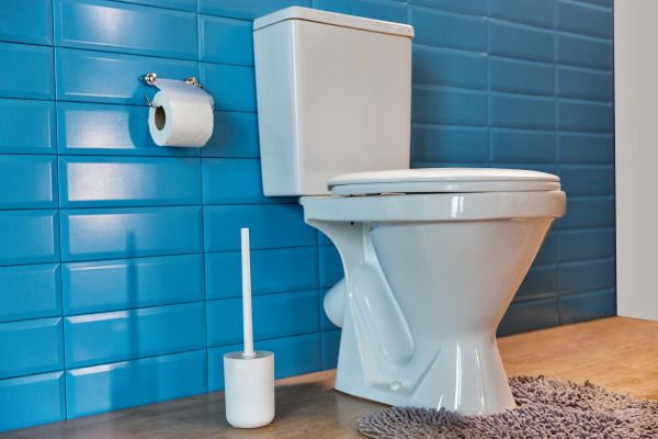 Cost of Toilet Tank Repair in Buford